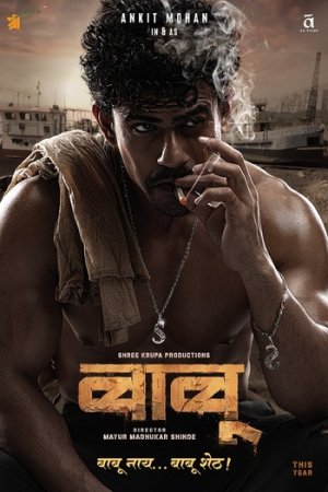 Download Babu (2024) Dual Audio [Hindi DD2.0 + Marathi DD5.1] WEB-DL 480p [500MB] | 720p [1.4GB] | 1080p [2.8GB]