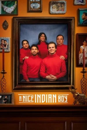Download A NICE INDIAN BOY (2025) Dual Audio [Hindi + English] WeB-DL 480p [400MB] | 720p [1.1GB] | 1080p [2.9GB]
